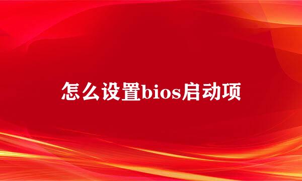 怎么设置bios启动项