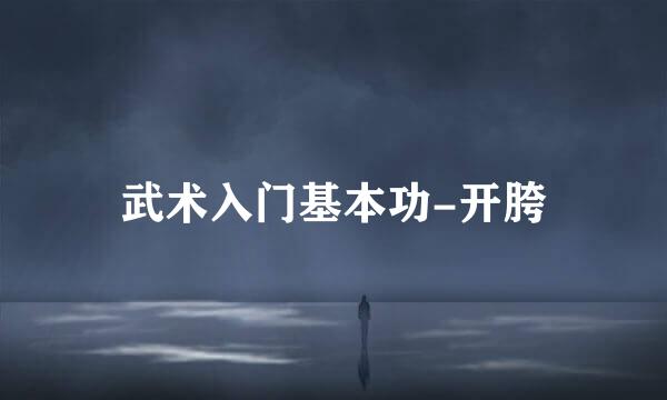 武术入门基本功-开胯