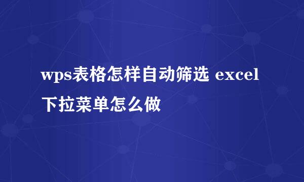 wps表格怎样自动筛选 excel下拉菜单怎么做