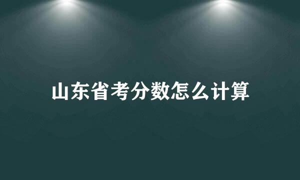 山东省考分数怎么计算