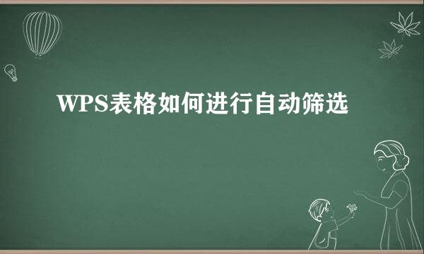 WPS表格如何进行自动筛选