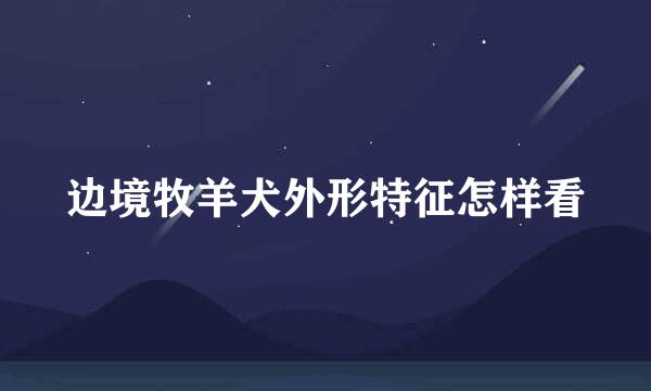 边境牧羊犬外形特征怎样看
