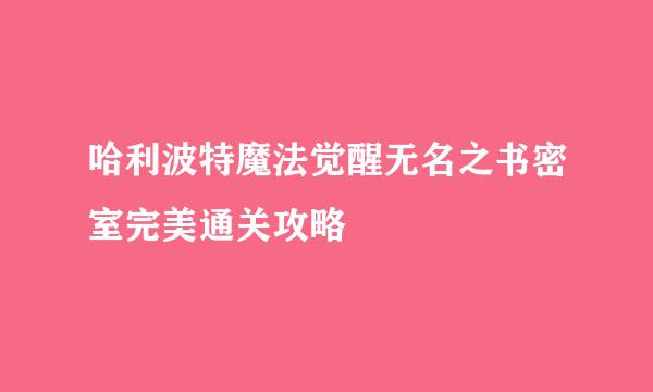 哈利波特魔法觉醒无名之书密室完美通关攻略