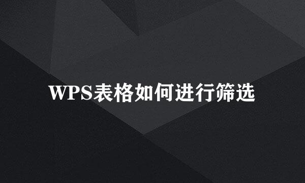 WPS表格如何进行筛选