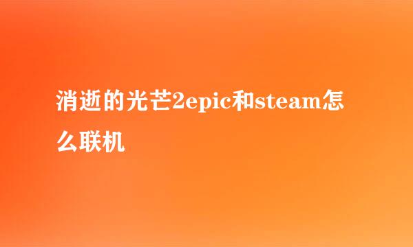 消逝的光芒2epic和steam怎么联机