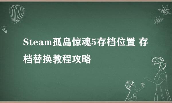 Steam孤岛惊魂5存档位置 存档替换教程攻略