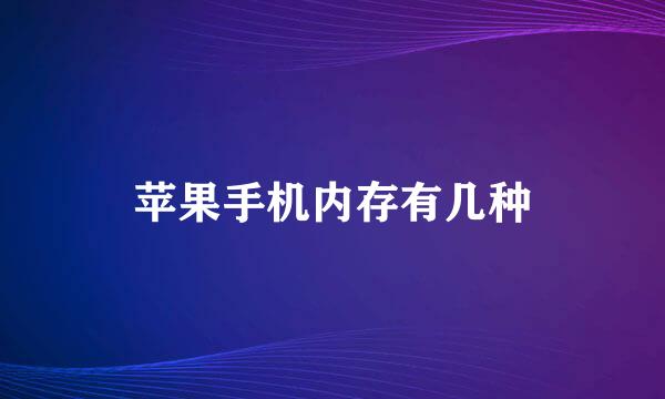 苹果手机内存有几种