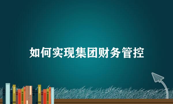 如何实现集团财务管控