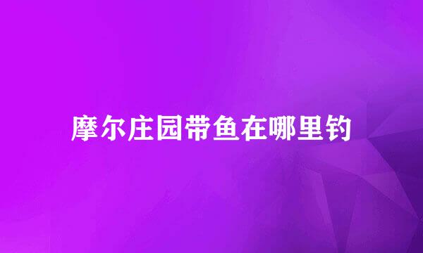 摩尔庄园带鱼在哪里钓