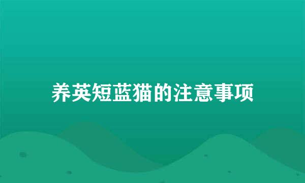 养英短蓝猫的注意事项