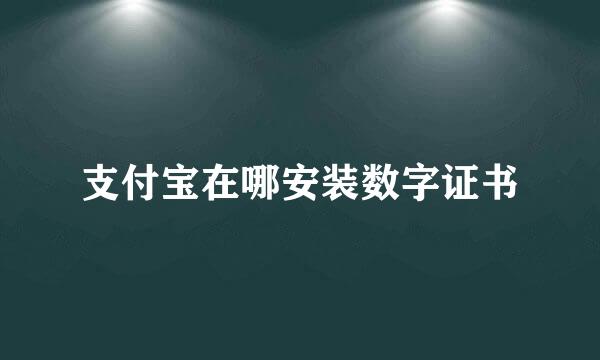 支付宝在哪安装数字证书