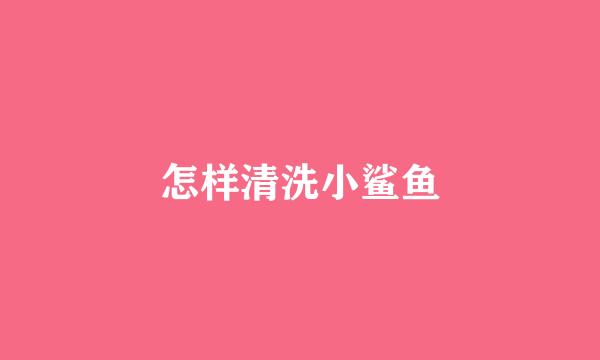 怎样清洗小鲨鱼