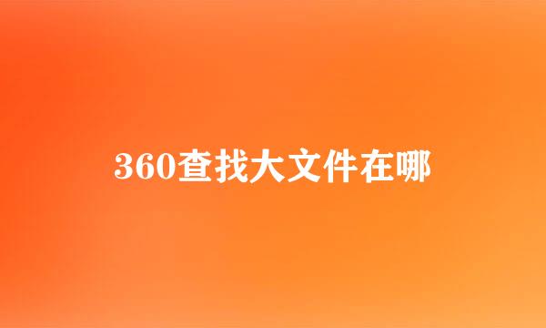 360查找大文件在哪
