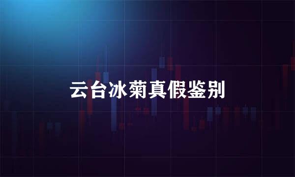 云台冰菊真假鉴别
