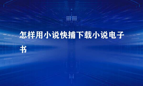 怎样用小说快捕下载小说电子书