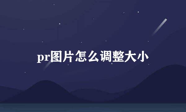 pr图片怎么调整大小