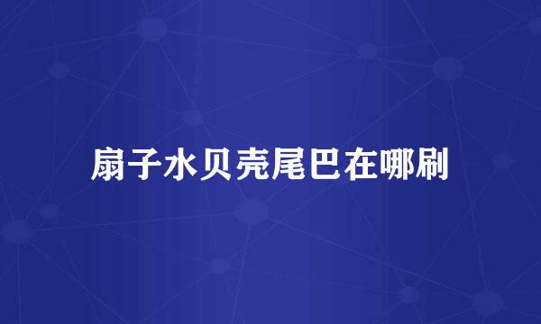 扇子水贝壳尾巴在哪刷