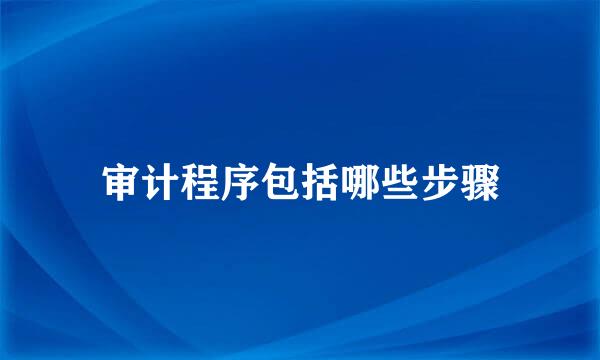 审计程序包括哪些步骤