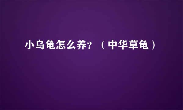 小乌龟怎么养？（中华草龟）