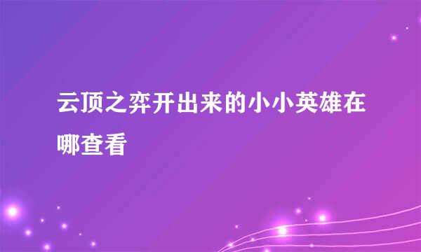 云顶之弈开出来的小小英雄在哪查看