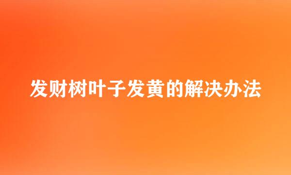 发财树叶子发黄的解决办法