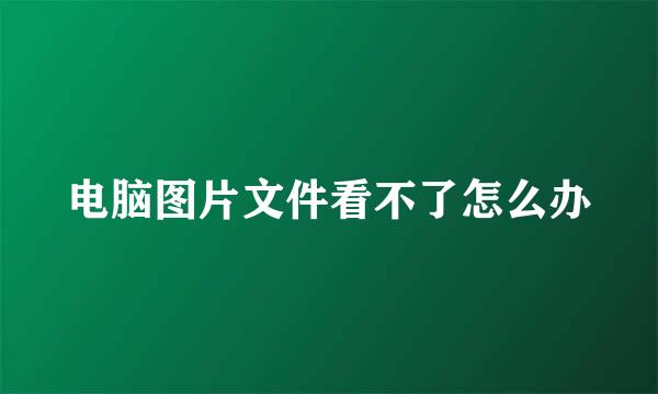电脑图片文件看不了怎么办