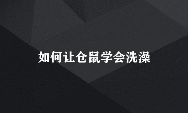如何让仓鼠学会洗澡