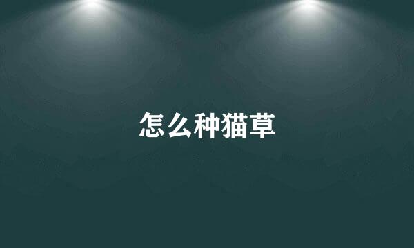 怎么种猫草