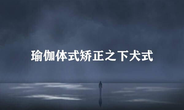 瑜伽体式矫正之下犬式