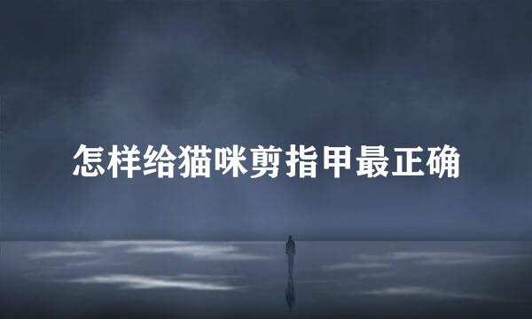 怎样给猫咪剪指甲最正确