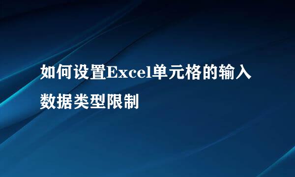 如何设置Excel单元格的输入数据类型限制