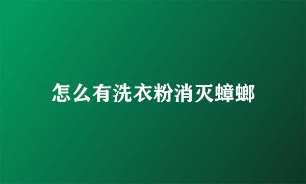 怎么有洗衣粉消灭蟑螂