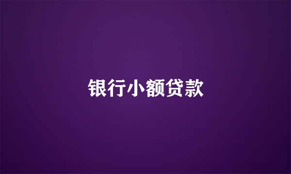 银行小额贷款