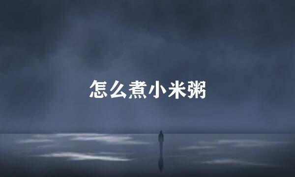 怎么煮小米粥