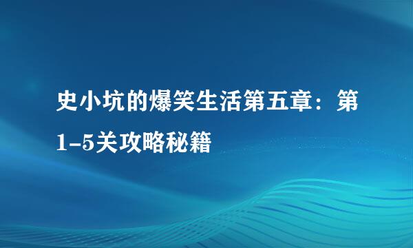 史小坑的爆笑生活第五章：第1-5关攻略秘籍