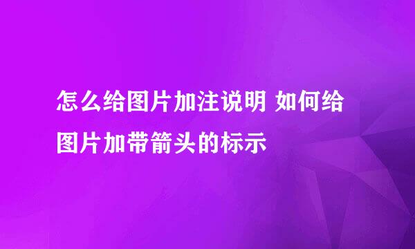 怎么给图片加注说明 如何给图片加带箭头的标示