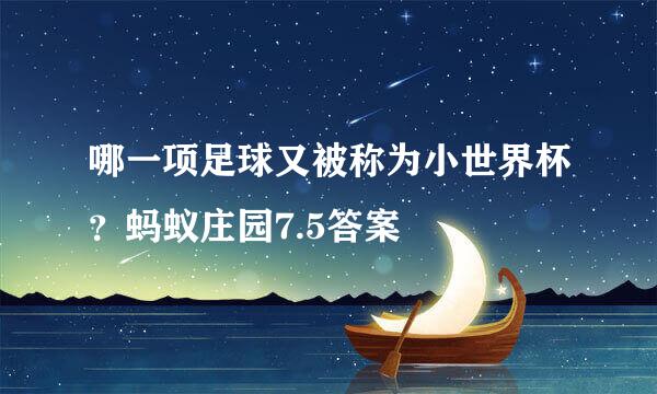 哪一项足球又被称为小世界杯？蚂蚁庄园7.5答案