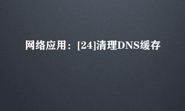网络应用：[24]清理DNS缓存