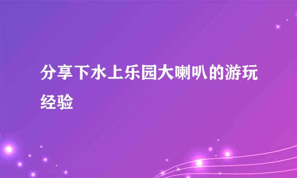 分享下水上乐园大喇叭的游玩经验