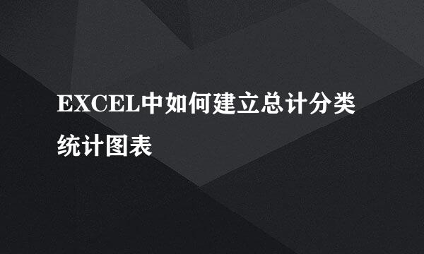 EXCEL中如何建立总计分类统计图表