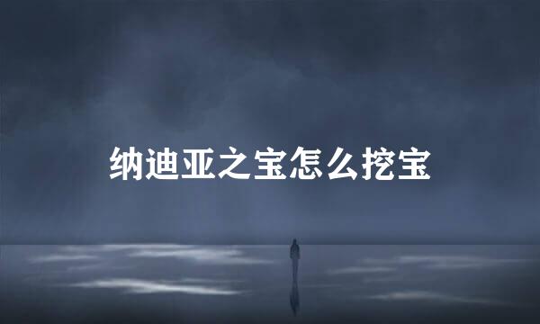 纳迪亚之宝怎么挖宝