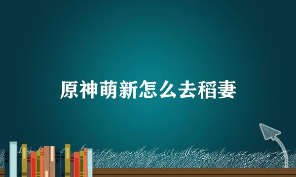 原神萌新怎么去稻妻