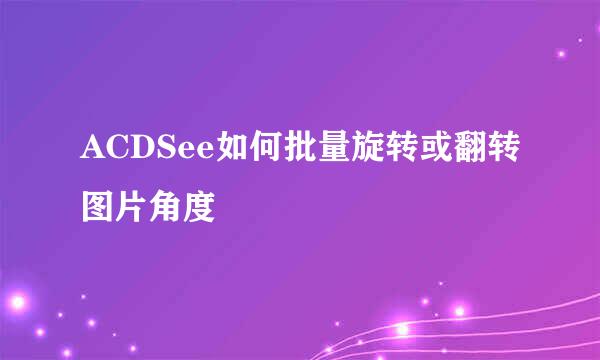 ACDSee如何批量旋转或翻转图片角度
