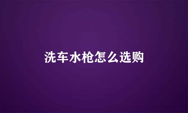洗车水枪怎么选购