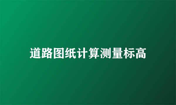 道路图纸计算测量标高