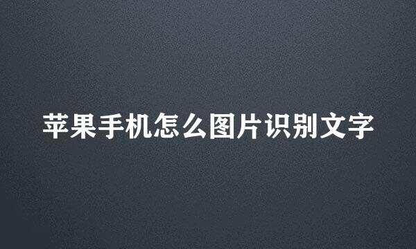 苹果手机怎么图片识别文字