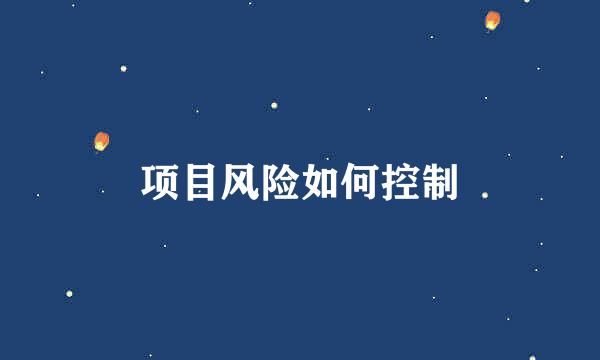 项目风险如何控制