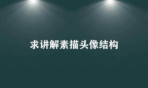 求讲解素描头像结构