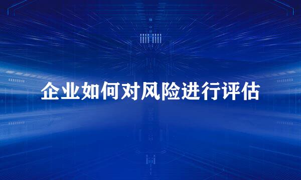 企业如何对风险进行评估
