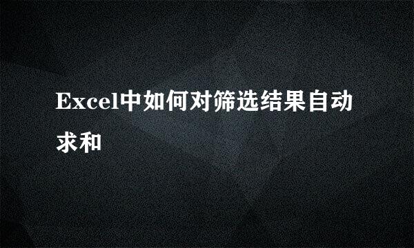 Excel中如何对筛选结果自动求和